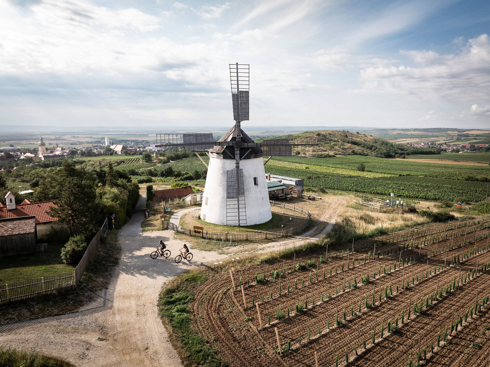 Die sanften Hügel des Weinviertels laden zu einer erfrischenden Radtour ein, während die historische Windmühle majestätisch in der Landschaft thront. Umgeben von üppigen Weinreben und dem Duft blühender Pflanzen, erleben Radfahrer hier die perfekte Kombination aus Natur und Kultur.