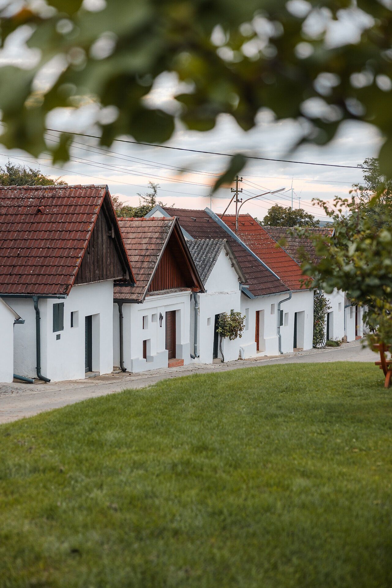 Weiß-gekalkte Presshäuser reihen sich in einer Kellergasse aneinander.
