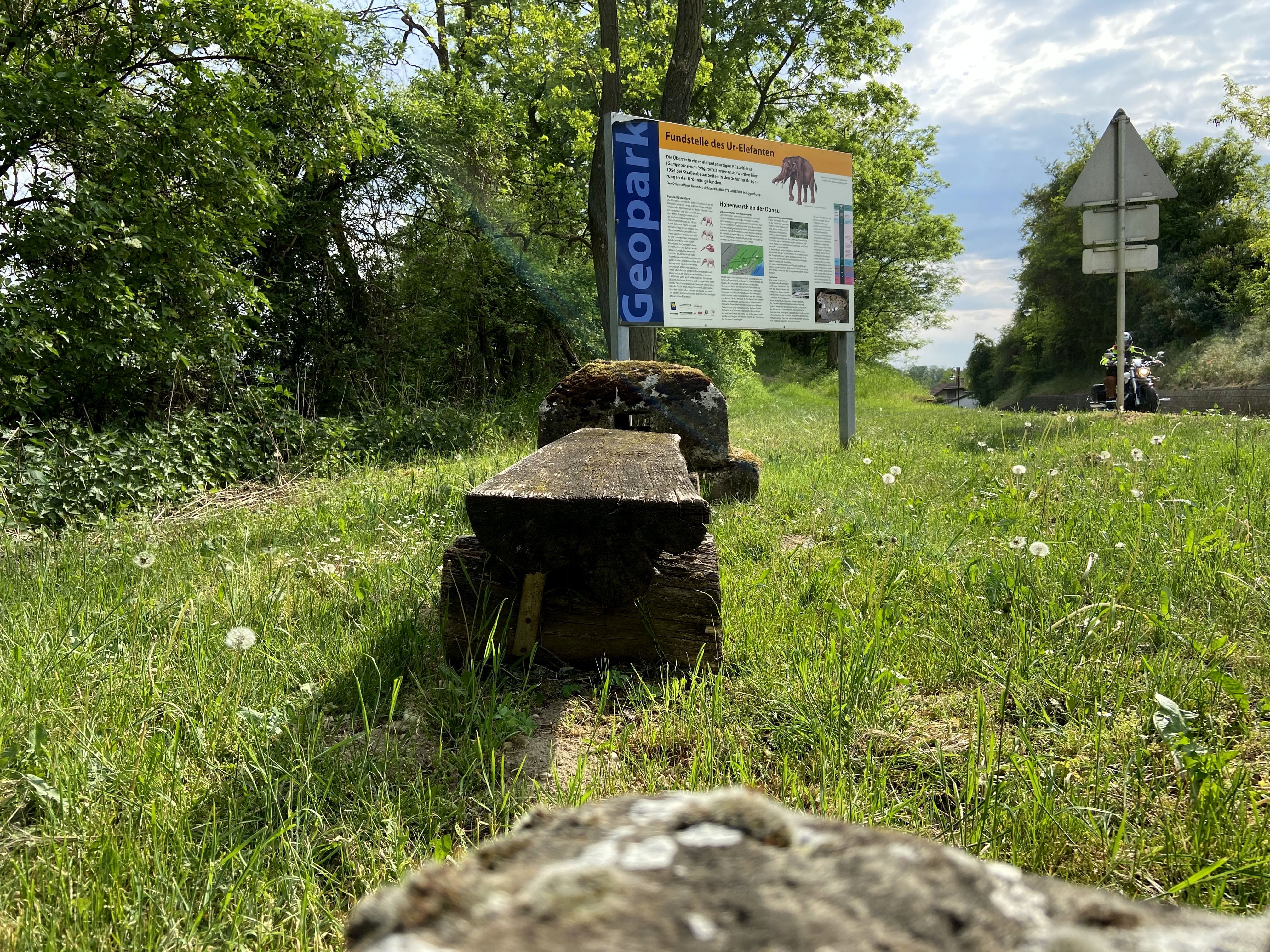 Schild der Mastodonfundstelle in Hohenwarth auf einer Wiese, umgeben von Bäumen und einem Weg.