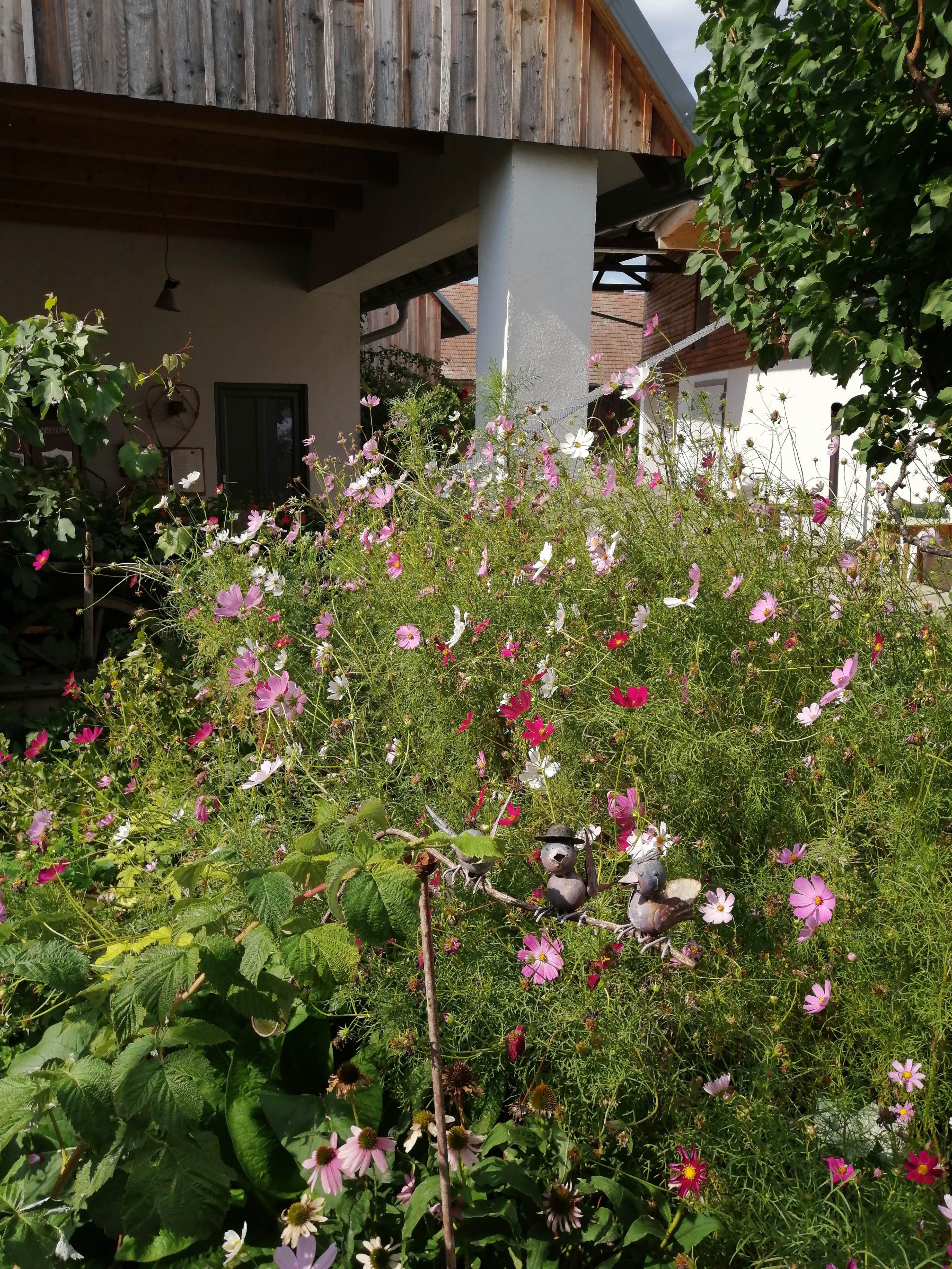Blumenbeet mit rosa und weißen Blüten im Innenhof, umgeben von Gebäuden mit Holzdach.