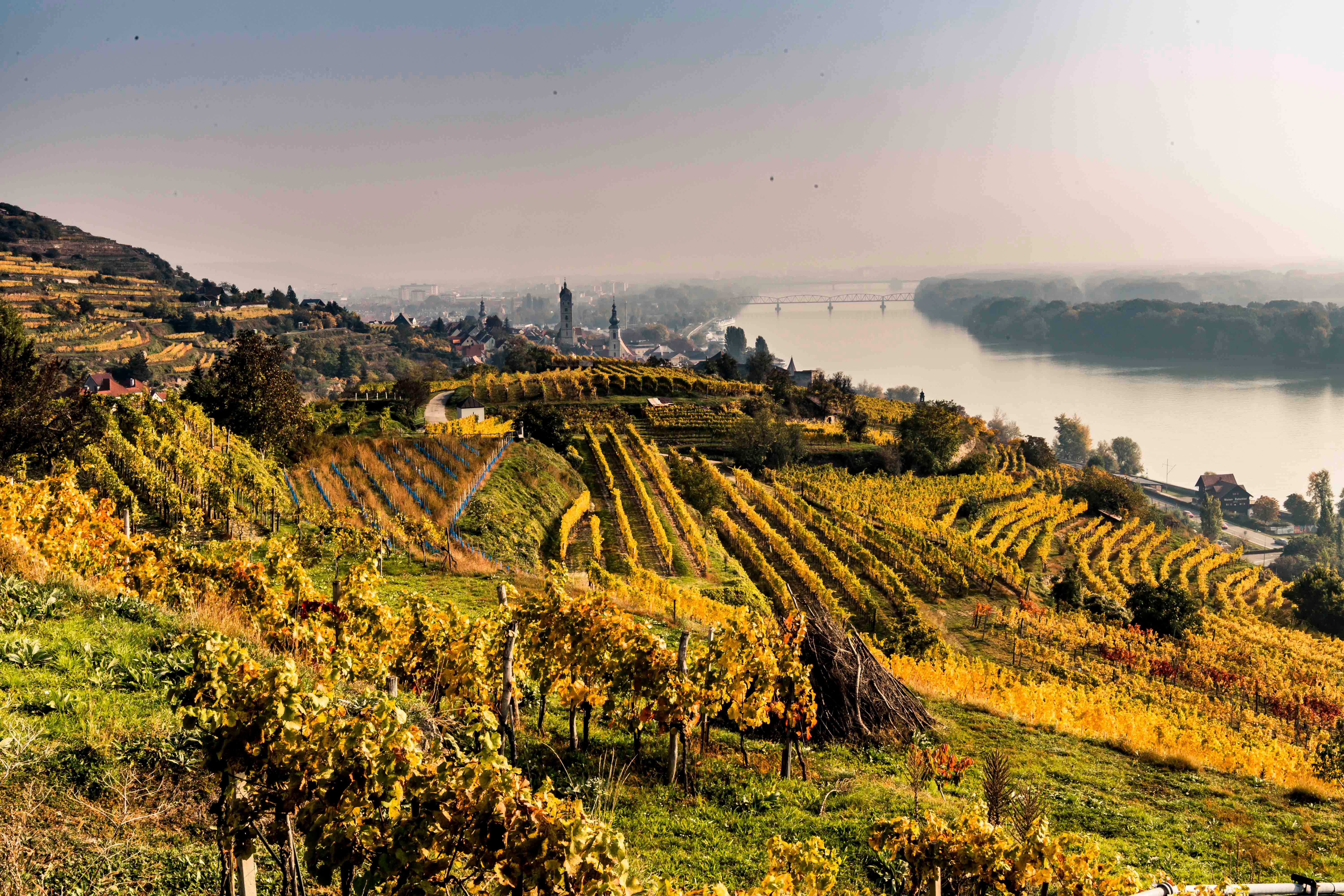 Region um Krems im Herbst