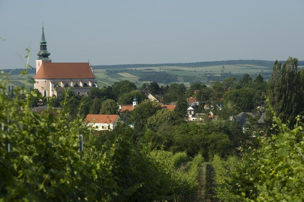 Die Weinstadt Poysdorf