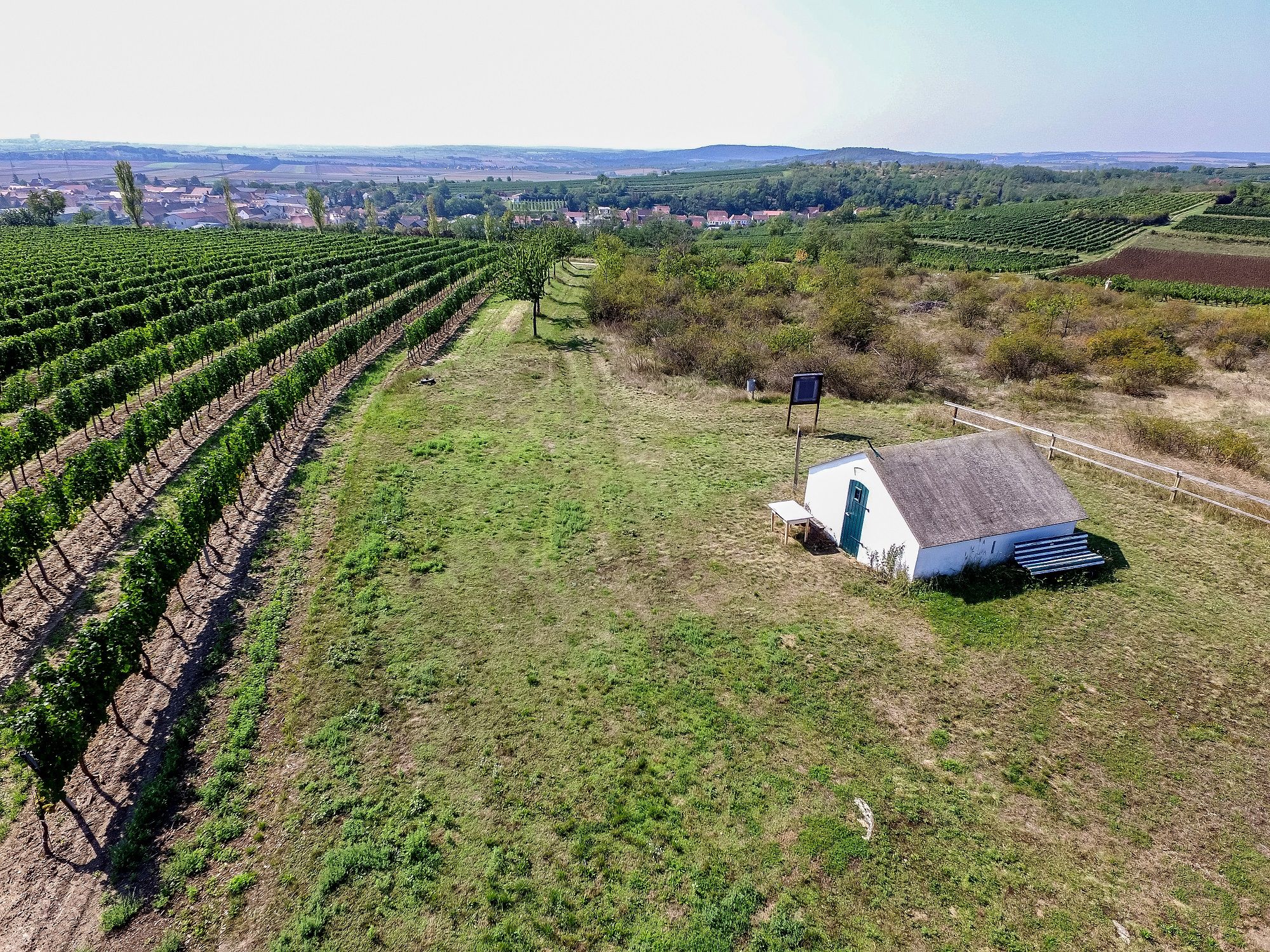 Luftaufnahme einer kleinen Hütte neben Weinreben in Röschitz, umgeben von grüner Landschaft und einem Dorf im Hintergrund.