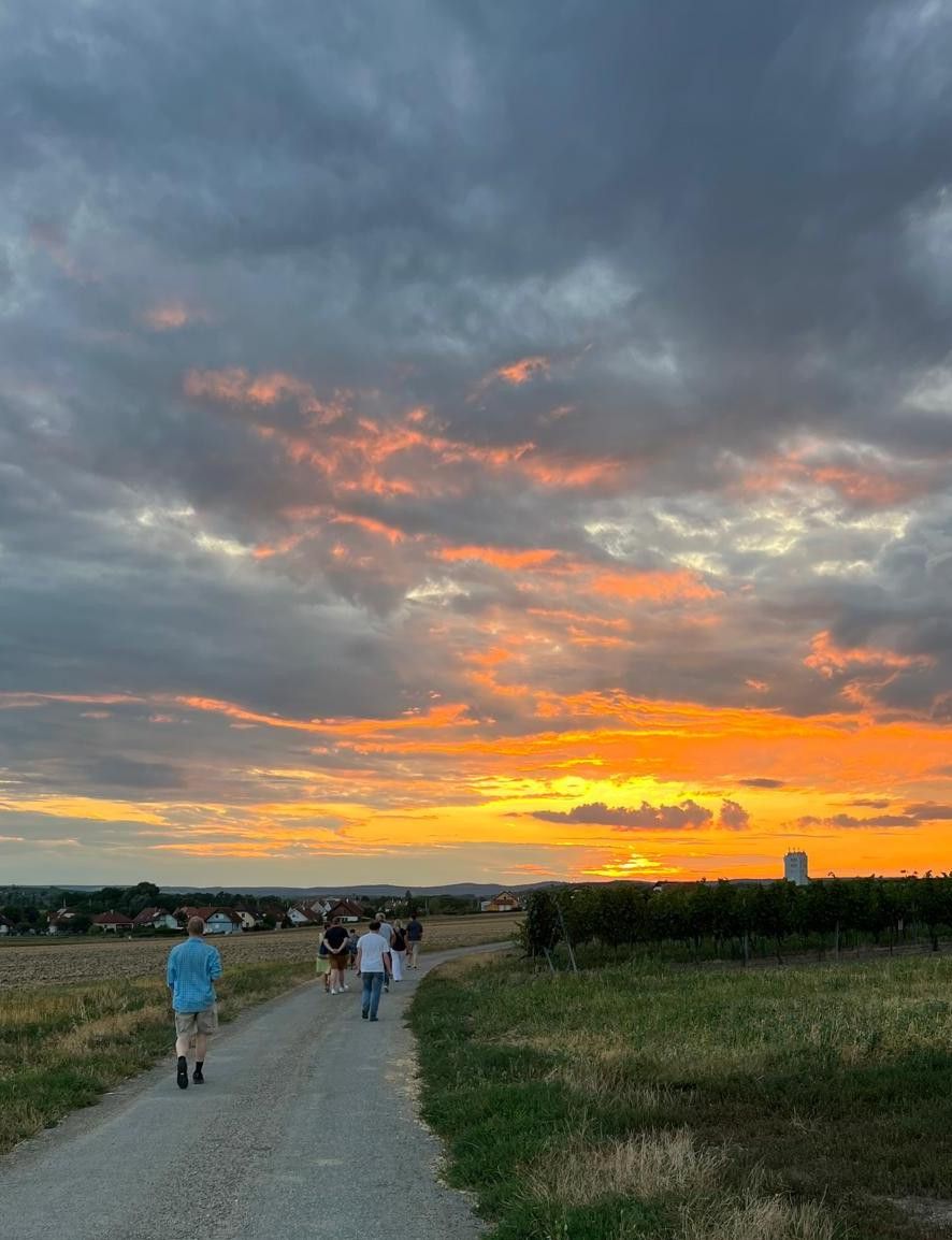 Sonnenuntergang im Retzer Land - Wein:Hirsch