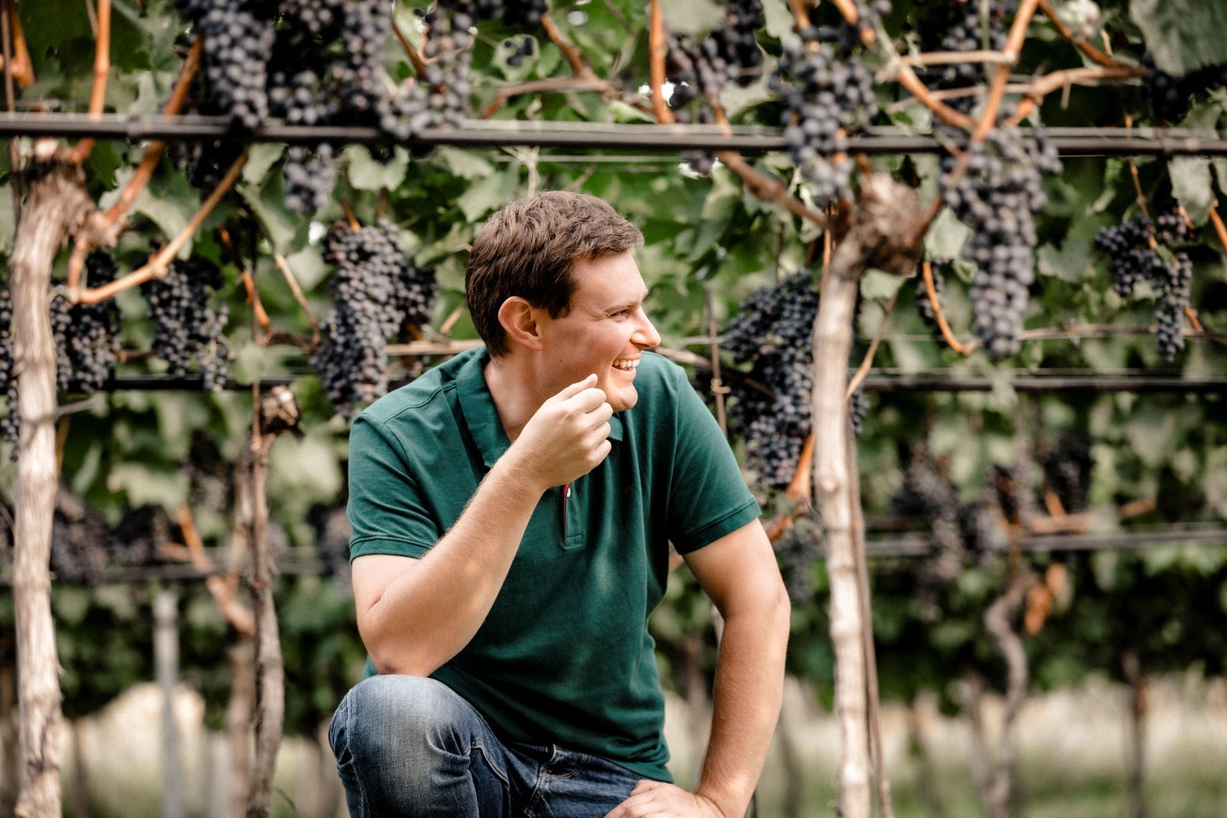 Mann in einem Weinberg, umgeben von Trauben, lächelt und schaut zur Seite.