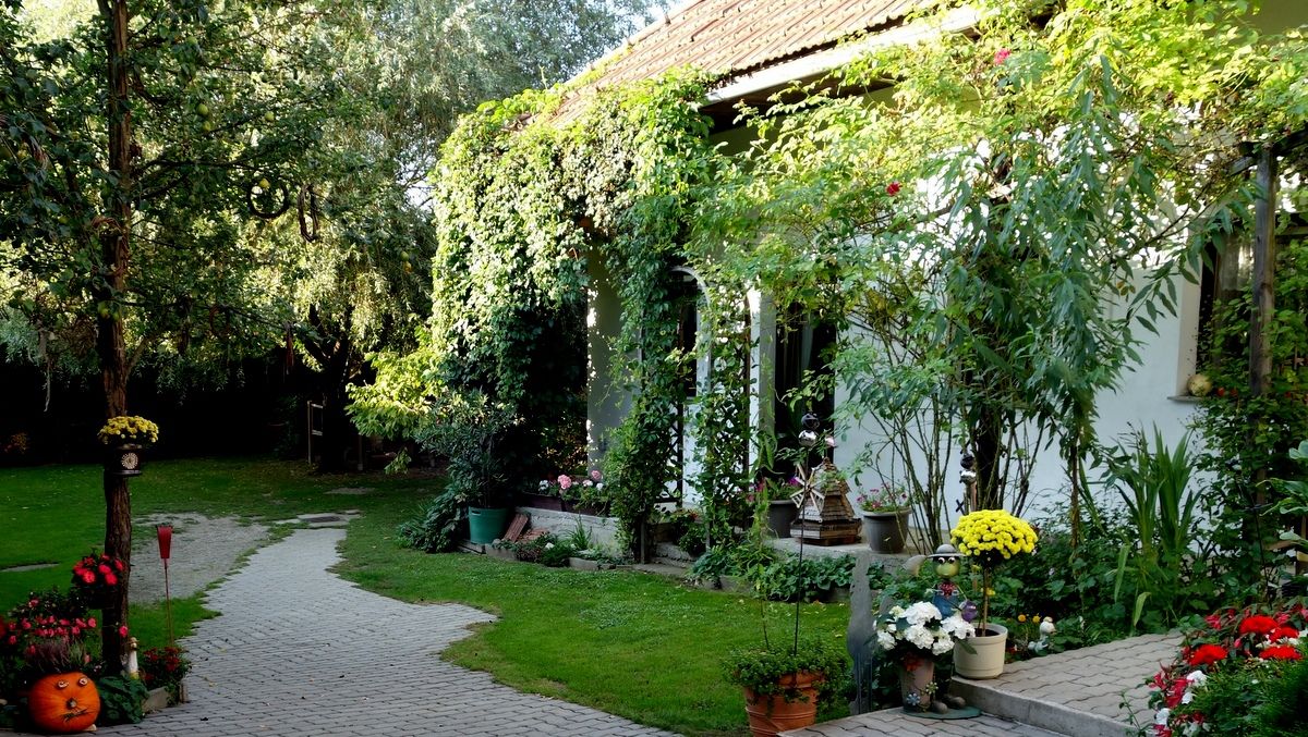 Ein grüner Innenhof mit Pflanzen, Bäumen und einem gepflasterten Weg.