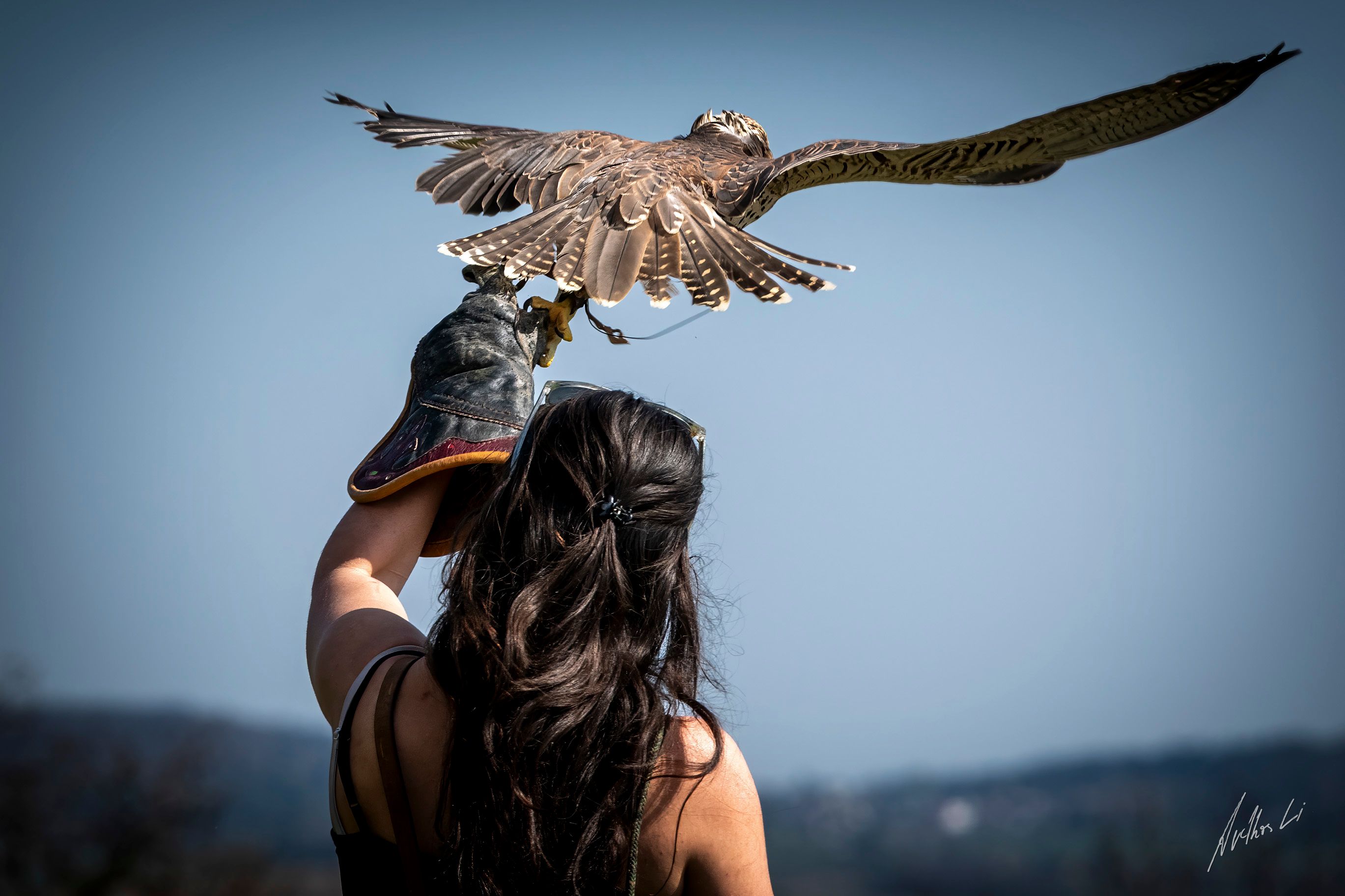 Eine Frau hält einen Greifvogel auf ihrem behandschuhten Arm, während der Vogel seine Flügel ausbreitet.
