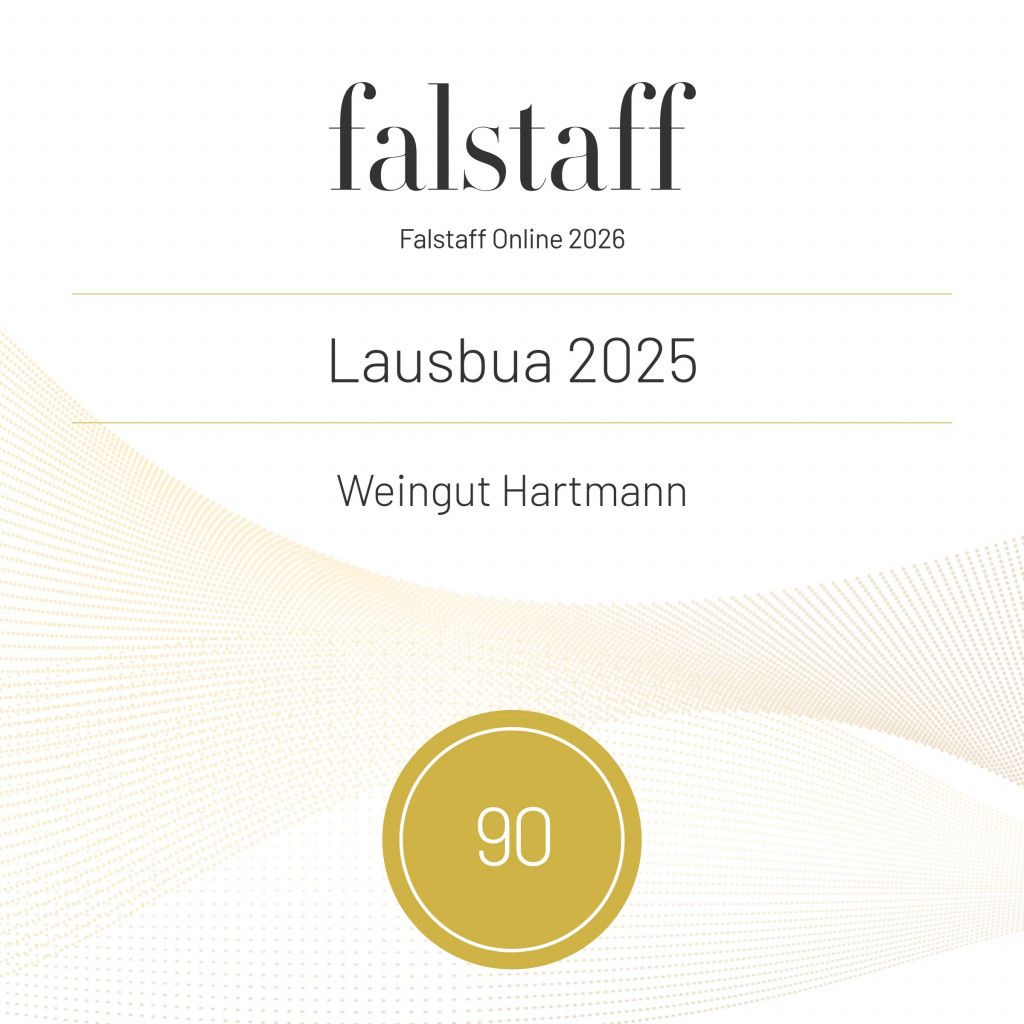 Bewertung Lausbua