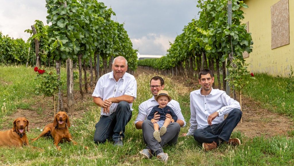 Three men and a child sit in a vineyard, accompanied by two dogs.