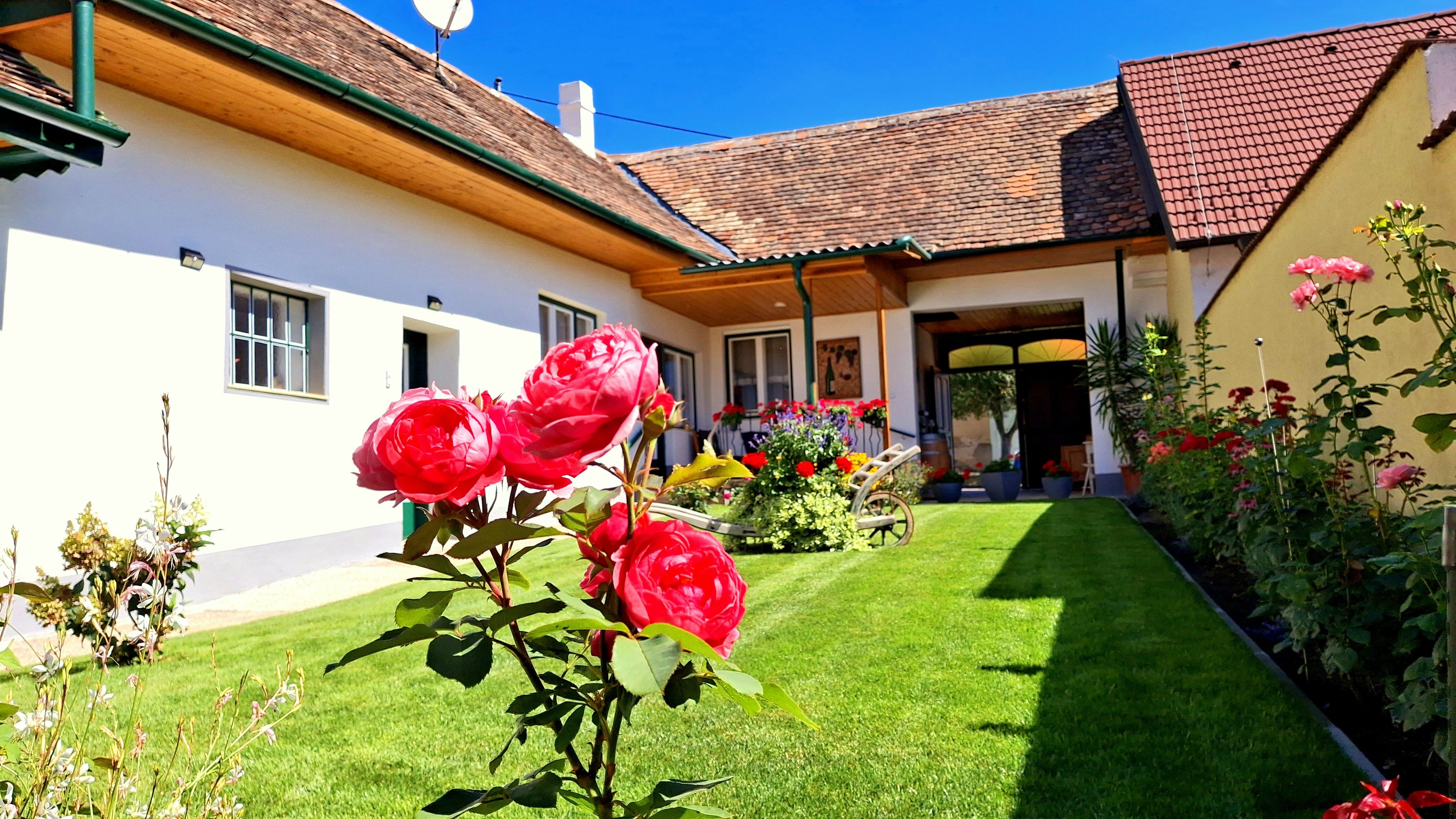 Ein gepflegter Garten mit blühenden Rosen vor einem traditionellen Haus mit Ziegeldach und weißer Fassade unter blauem Himmel.