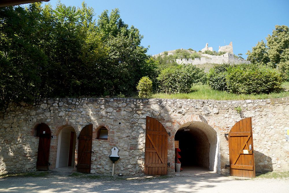Heuriger vor´m Schlosskeller
