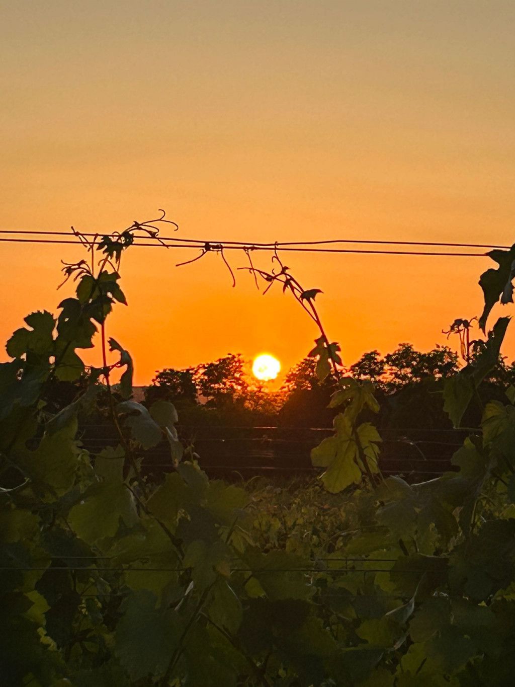 Sonnenuntergang