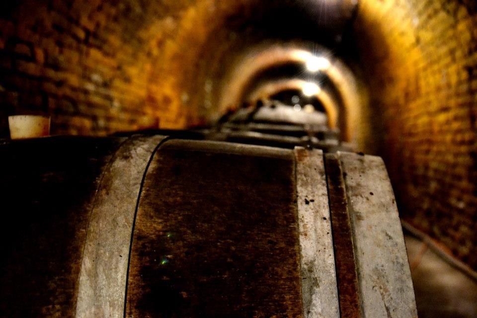 A wine cellar with wooden barrels and brick walls.