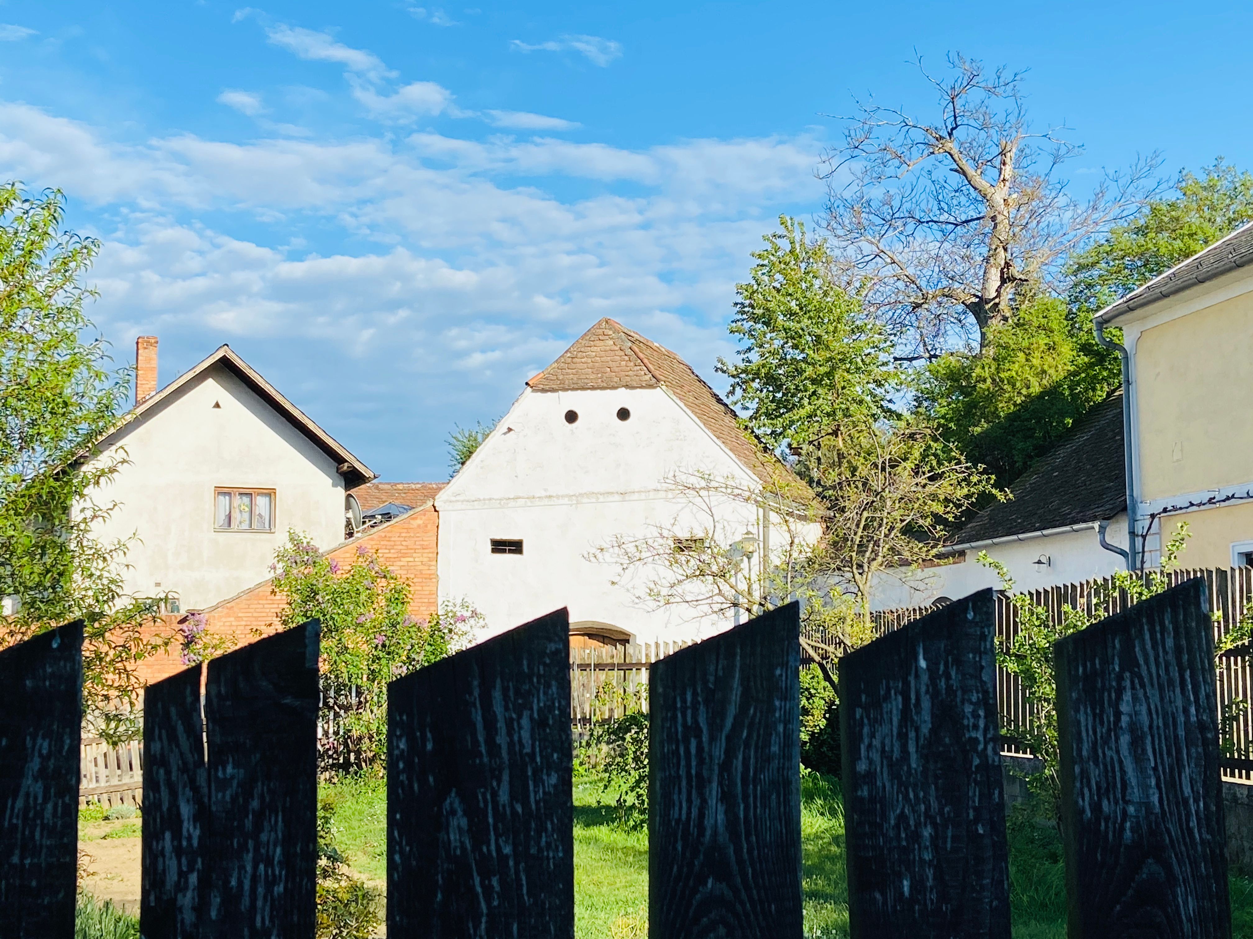 Häuser und Garten hinter einem Holzzaun in Deinzendorf, Weinviertel.