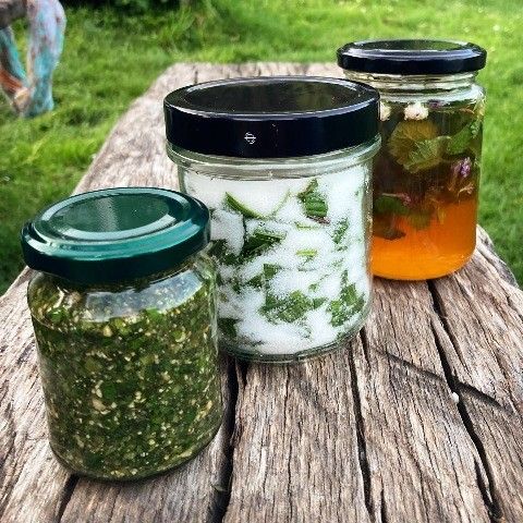 Wildkräuterpesto, Schichtsirup, Oxymel
