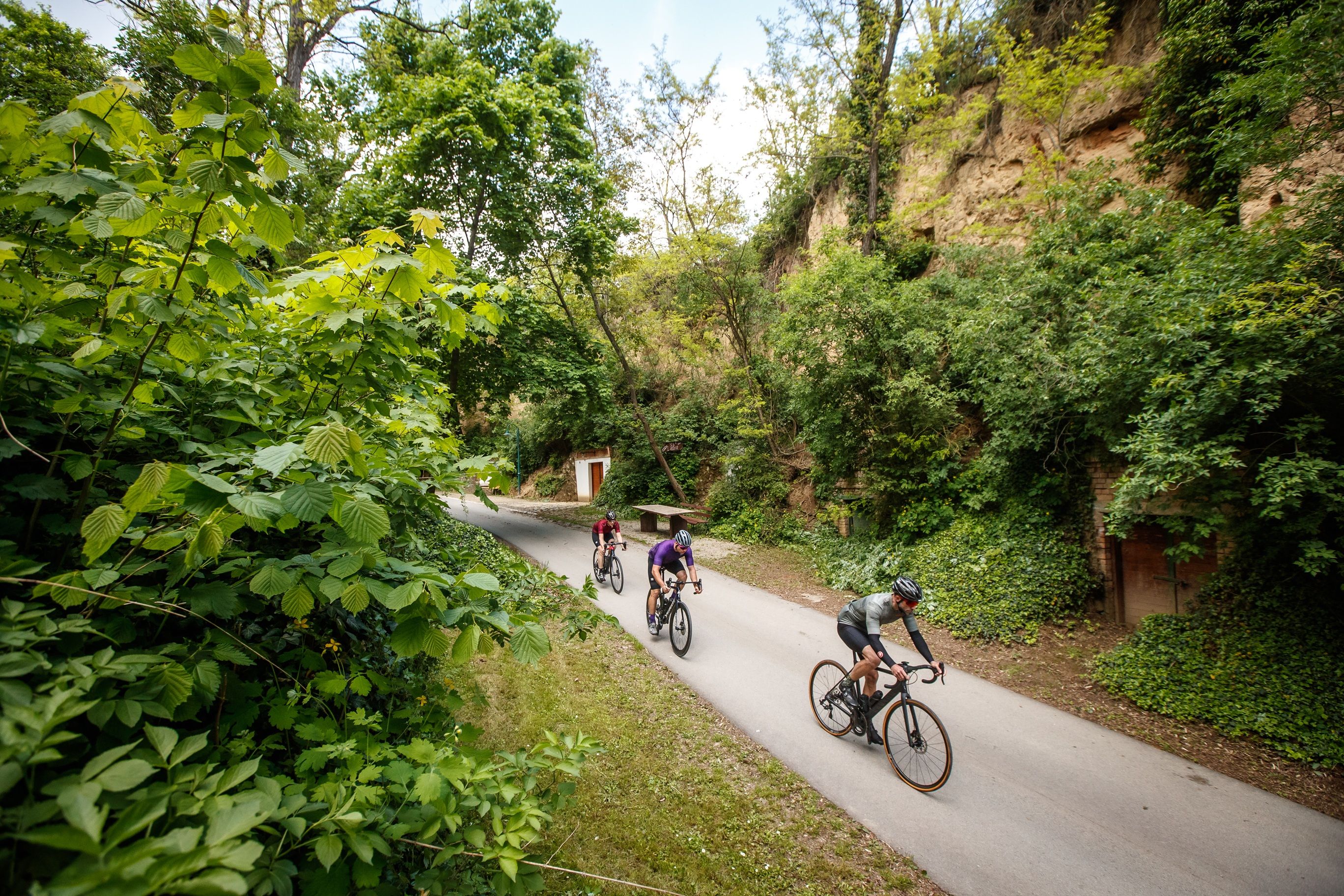Drei Rennradfahrer fahren auf einem schmalen Weg durch eine grüne, felsige Landschaft bei Herrnbaumgarten.