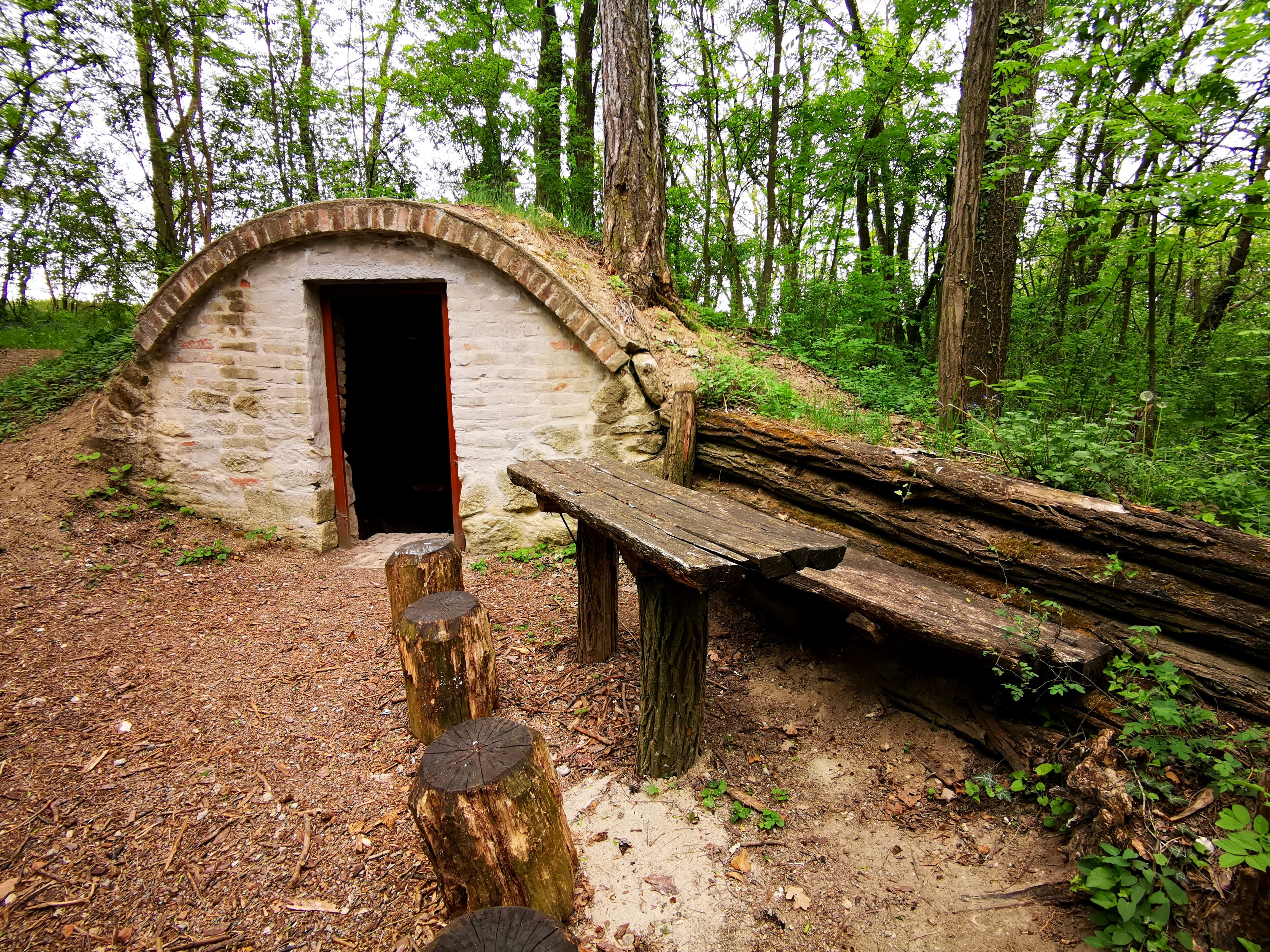 Steinhütte im Wald mit Holztisch und Baumstümpfen als Sitzgelegenheiten.