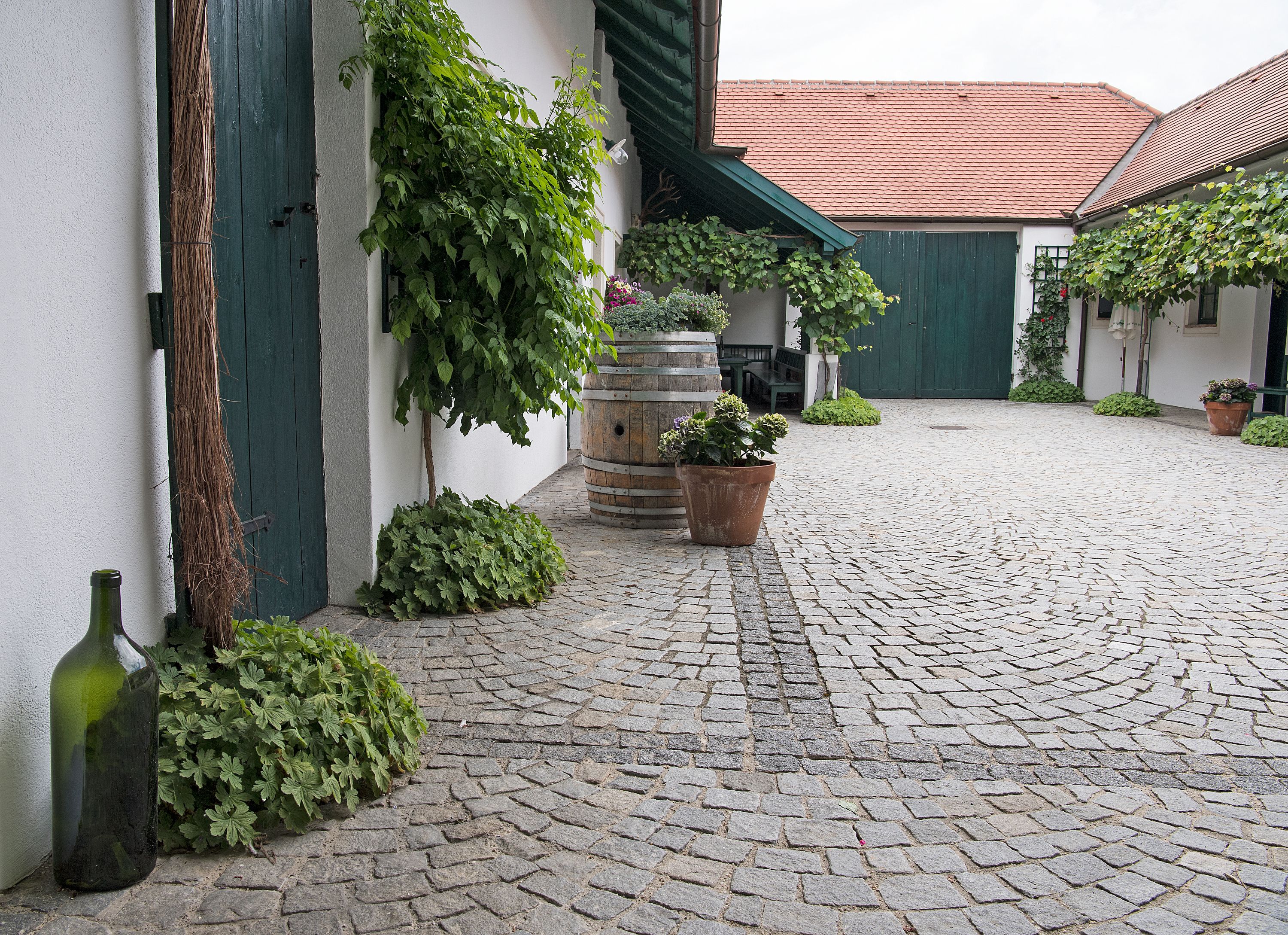 Innenhof eines Winzerhofs mit Kopfsteinpflaster, grünen Türen und Pflanzen.