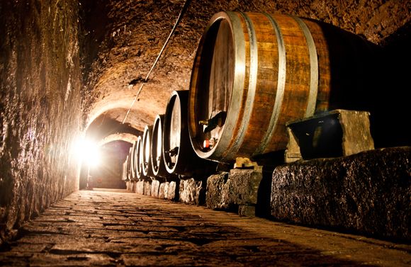 A wine cellar with large wooden barrels lined up along a stone wall, illuminated by a warm light.