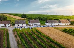 In der malerischen Kellergasse „Alte Geringen“ entfaltet sich ein Fest der Sinne, wo die sanften Hügel des Weinviertels mit üppigen Weinreben geschmückt sind. Die Atmosphäre ist erfüllt von fröhlichem Lachen und dem verlockenden Duft regionaler Köstlichkeiten, die die Besucher in eine Welt des Genusses entführen.