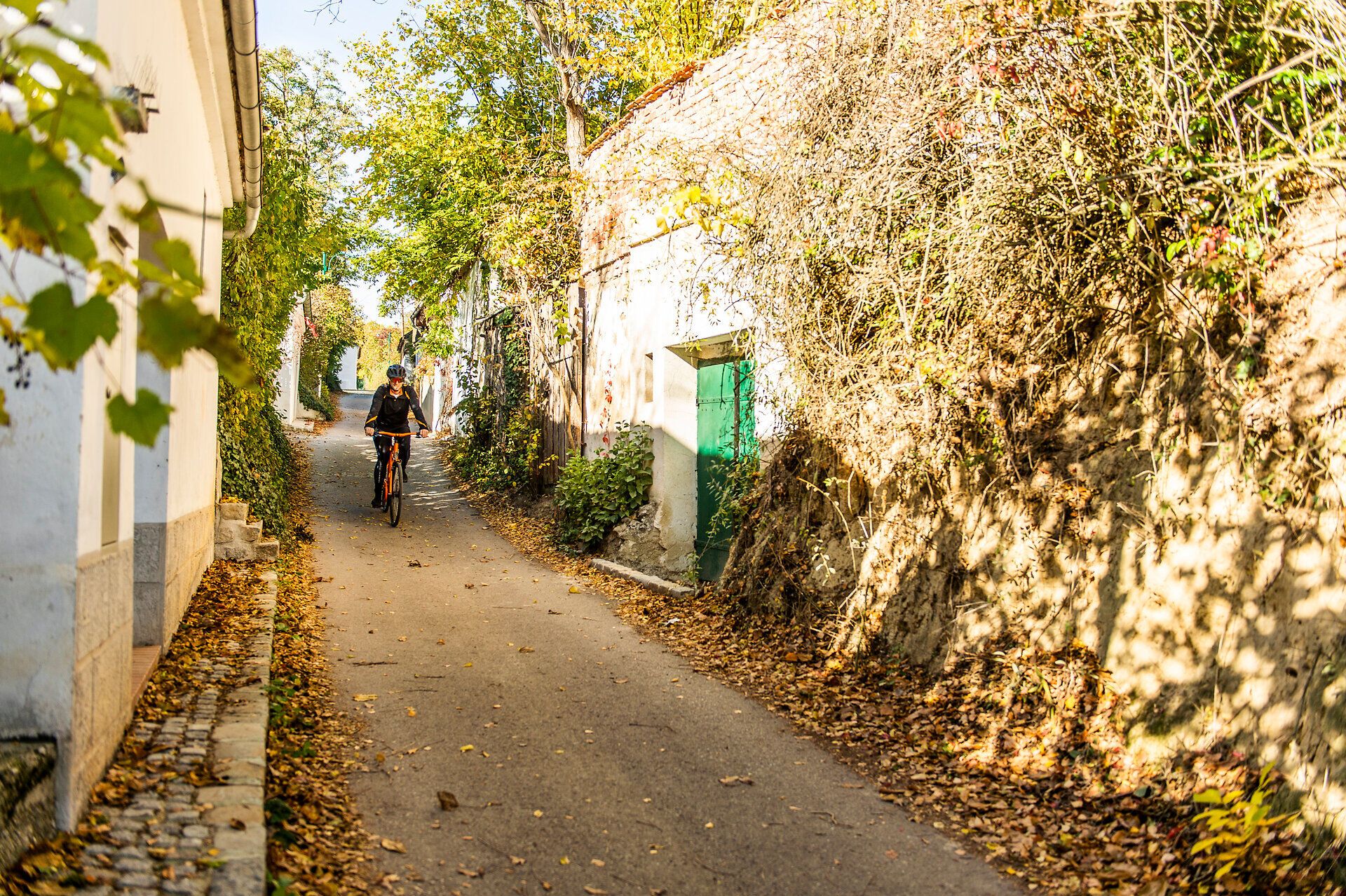 Sitzendorfer Kellergasse in Hollabrunn _Kellerkatzenweg_6022(c)WTG_POV_Robert Herbst.jpg