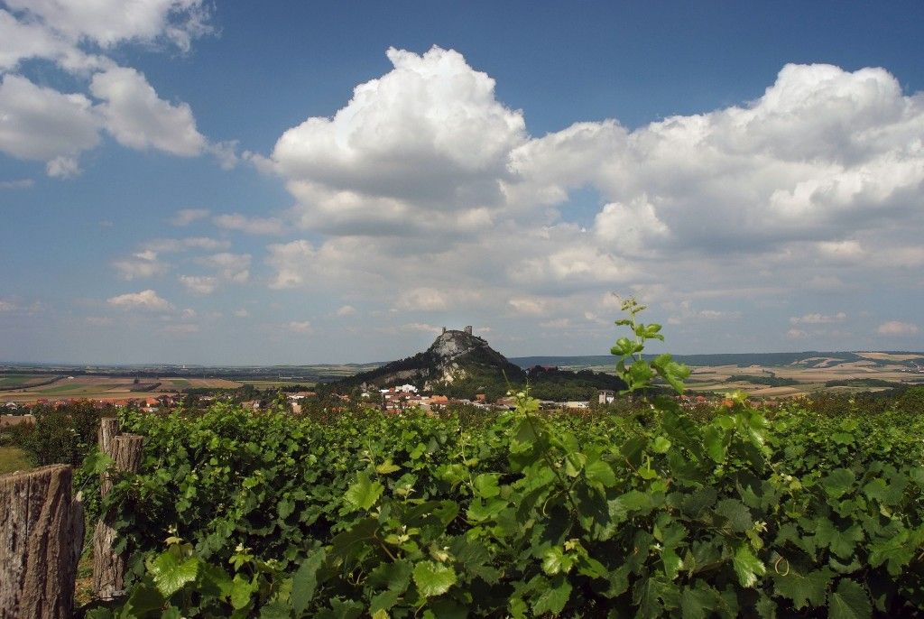Burgruine Staatz