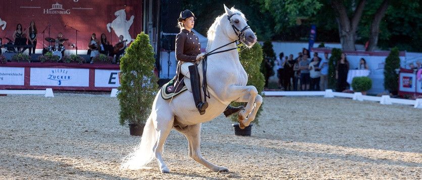 Lipizzanergala