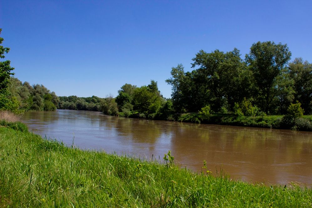 Fluss mit grünen Ufern und Bäumen unter klarem blauem Himmel.
