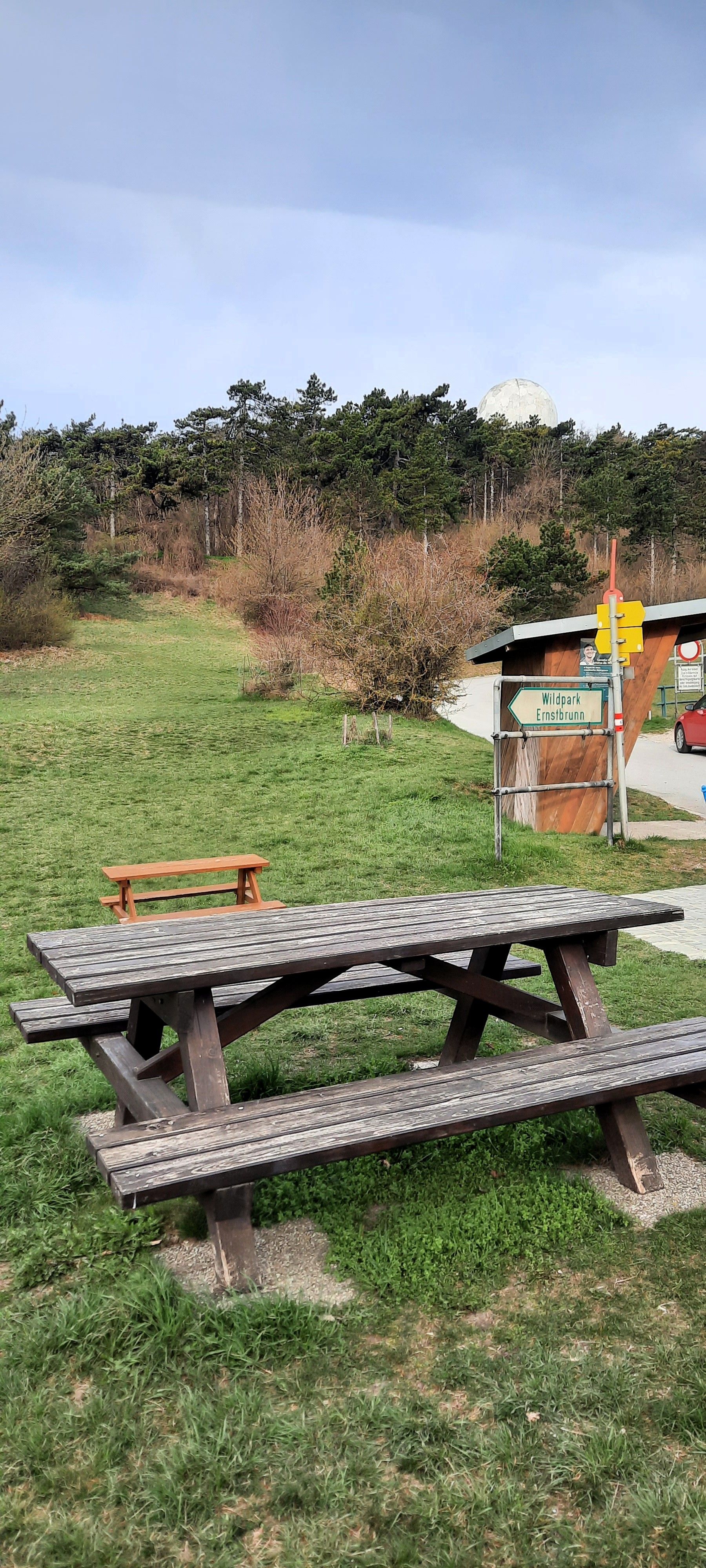 Picknicktisch auf einer Wiese mit Wald im Hintergrund und einem Schild zum Wildpark Ernstbrunn.