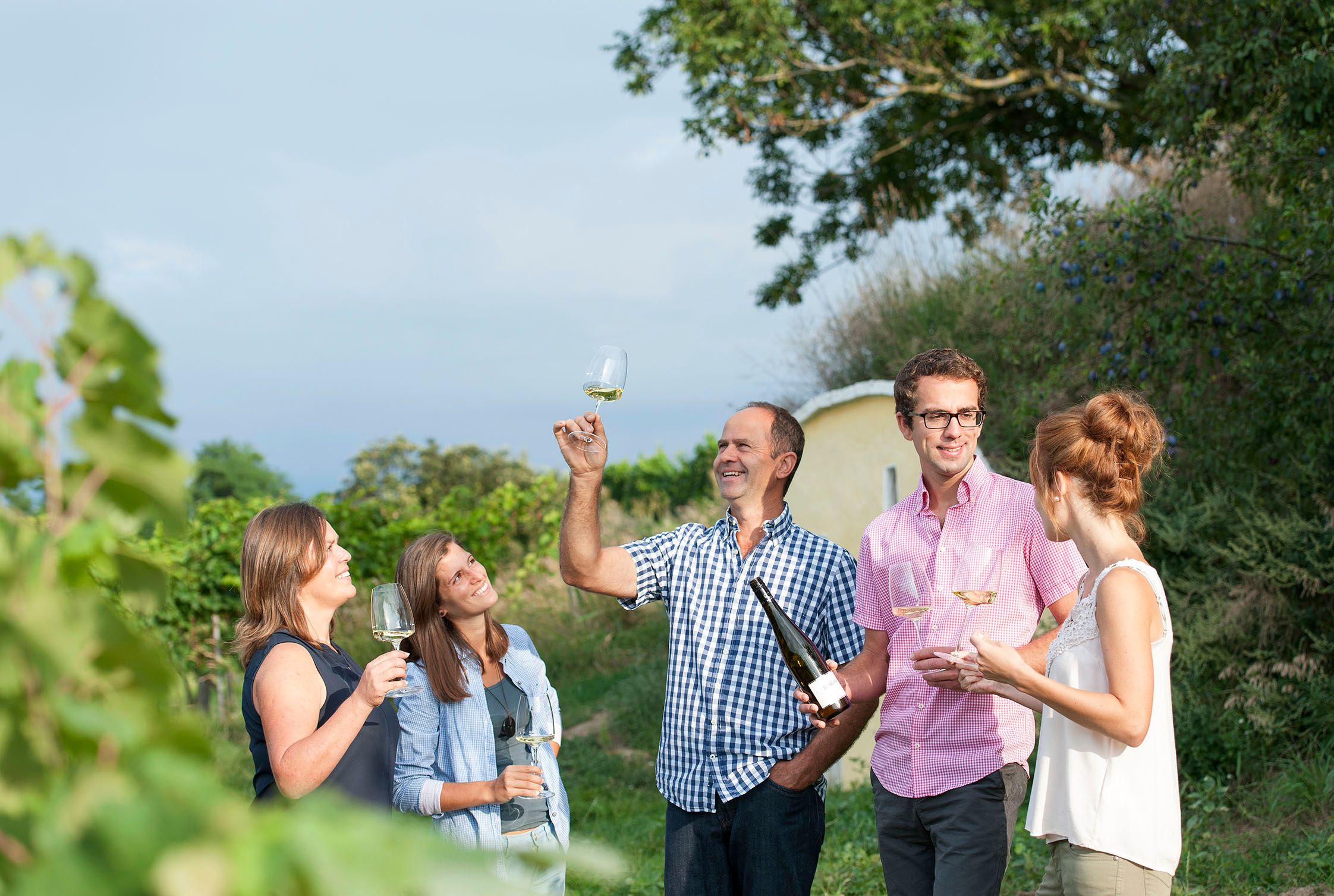 Group of people in the vineyard with wine glasses.