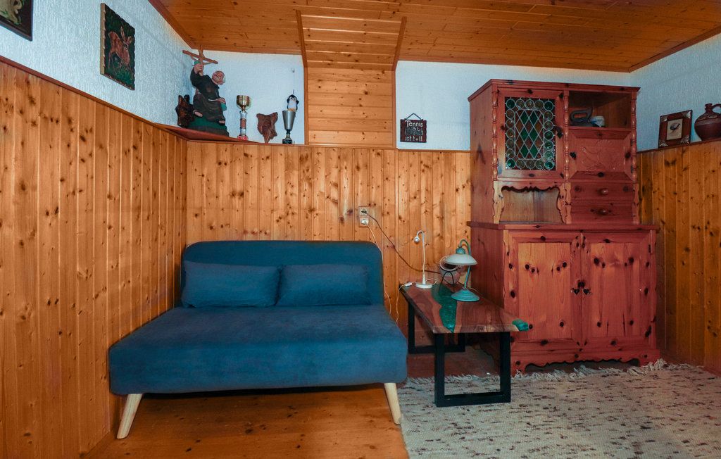 Gemütliches Zimmer mit Holzwänden, einem blauen Sofa, einem Holztisch und einem rustikalen Schrank.