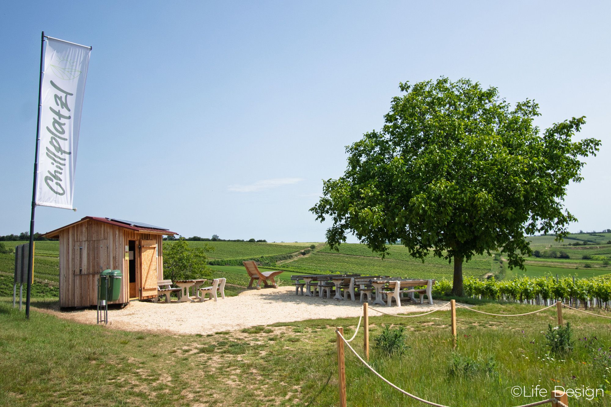 Ein Rastplatz mit Holzhütte, Tischen und Stühlen inmitten von Weinbergen unter einem Baum.