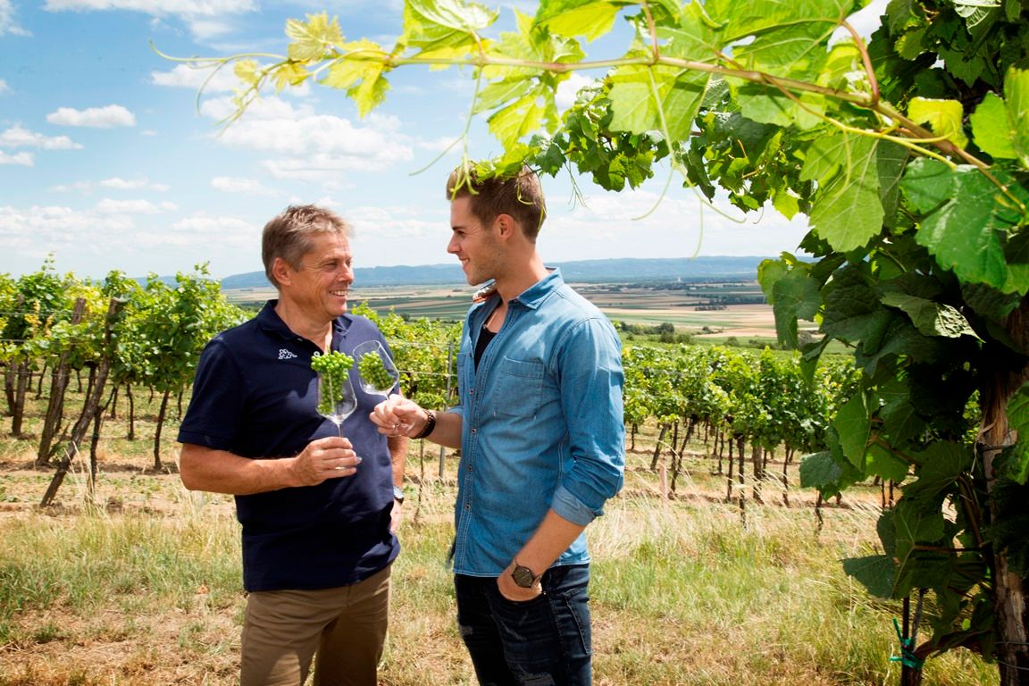 Zwei Männer stehen in einem Weinberg und halten Weingläser mit Trauben. Im Hintergrund sind Reben und eine weite Landschaft zu sehen.