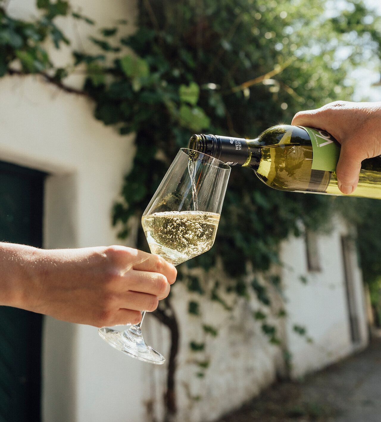 Inmitten der malerischen Weinviertler Kellergassen fließt der spritzige Wein in ein elegantes Glas. Die warmen Sonnenstrahlen und das sanfte Plätschern des Weins schaffen eine einladende Atmosphäre, die zum Verweilen und Genießen einlädt.