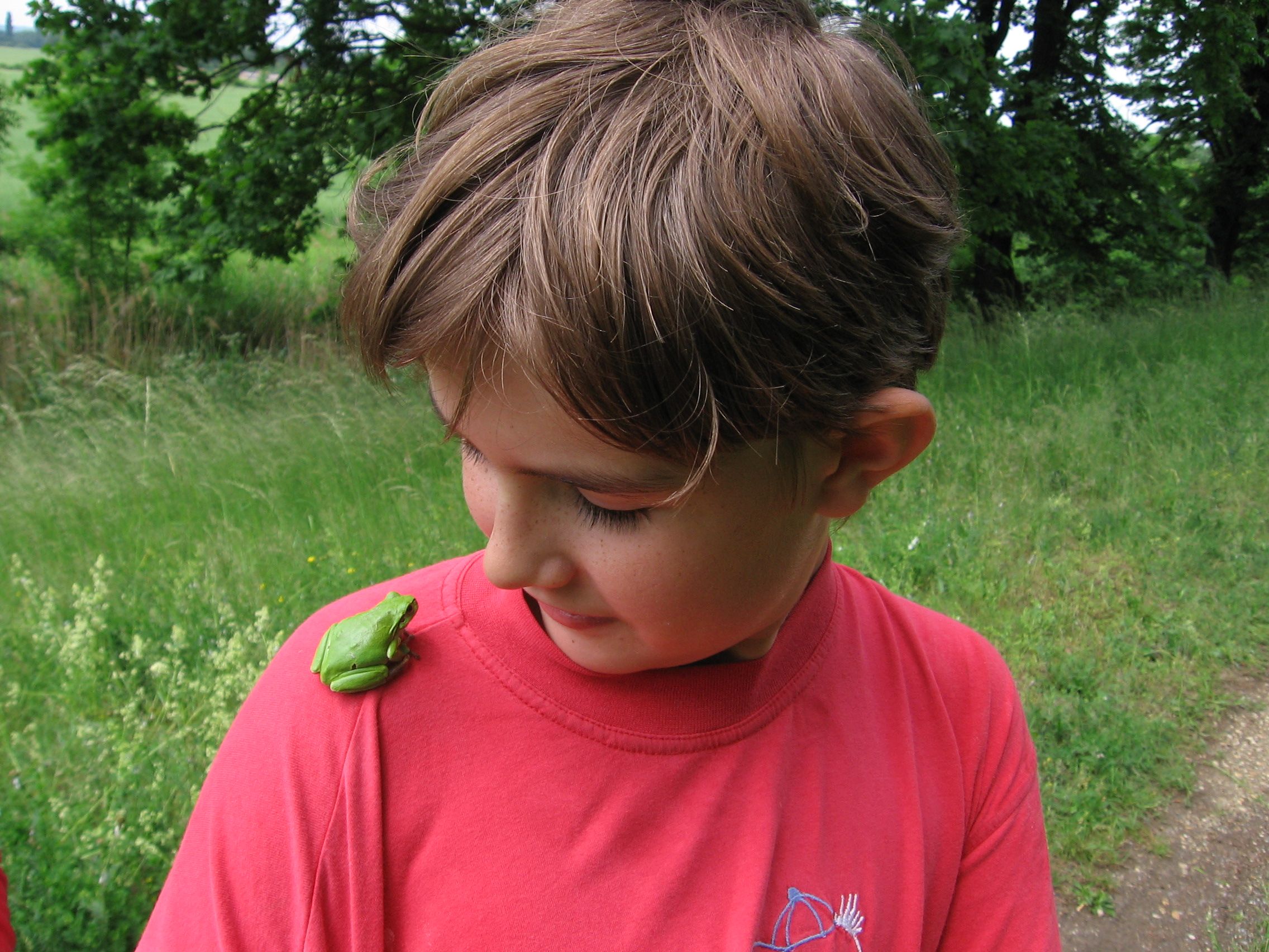 Ein Junge in einem roten T-Shirt schaut auf einen grünen Frosch auf seiner Schulter. Im Hintergrund ist eine grüne Wiese zu sehen.
