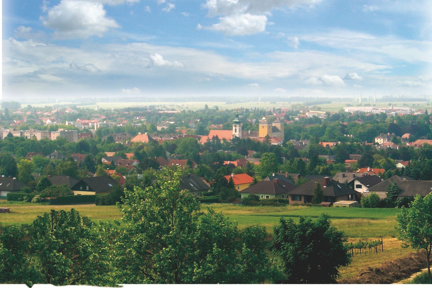 Panoramatický pohled na Wolkersdorf se zelenými stromy a budovami pod modrou oblohou.