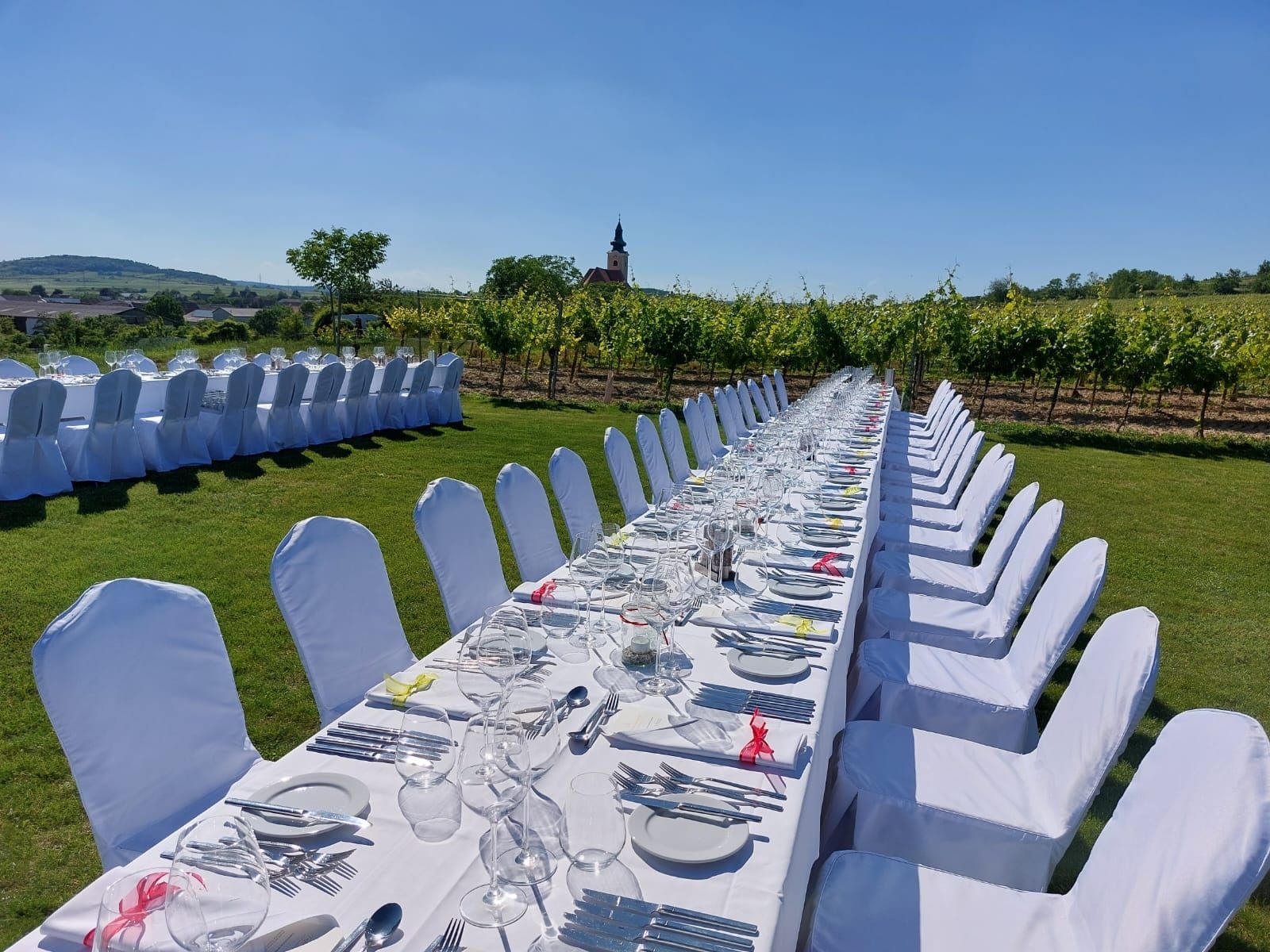 Lange, festlich gedeckte Tafel im Freien mit weißen Stühlen, umgeben von Weinbergen und einem Kirchturm im Hintergrund.