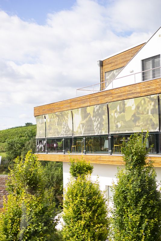 Modernes Gebäude mit Terrasse und Weinreben im Hintergrund.