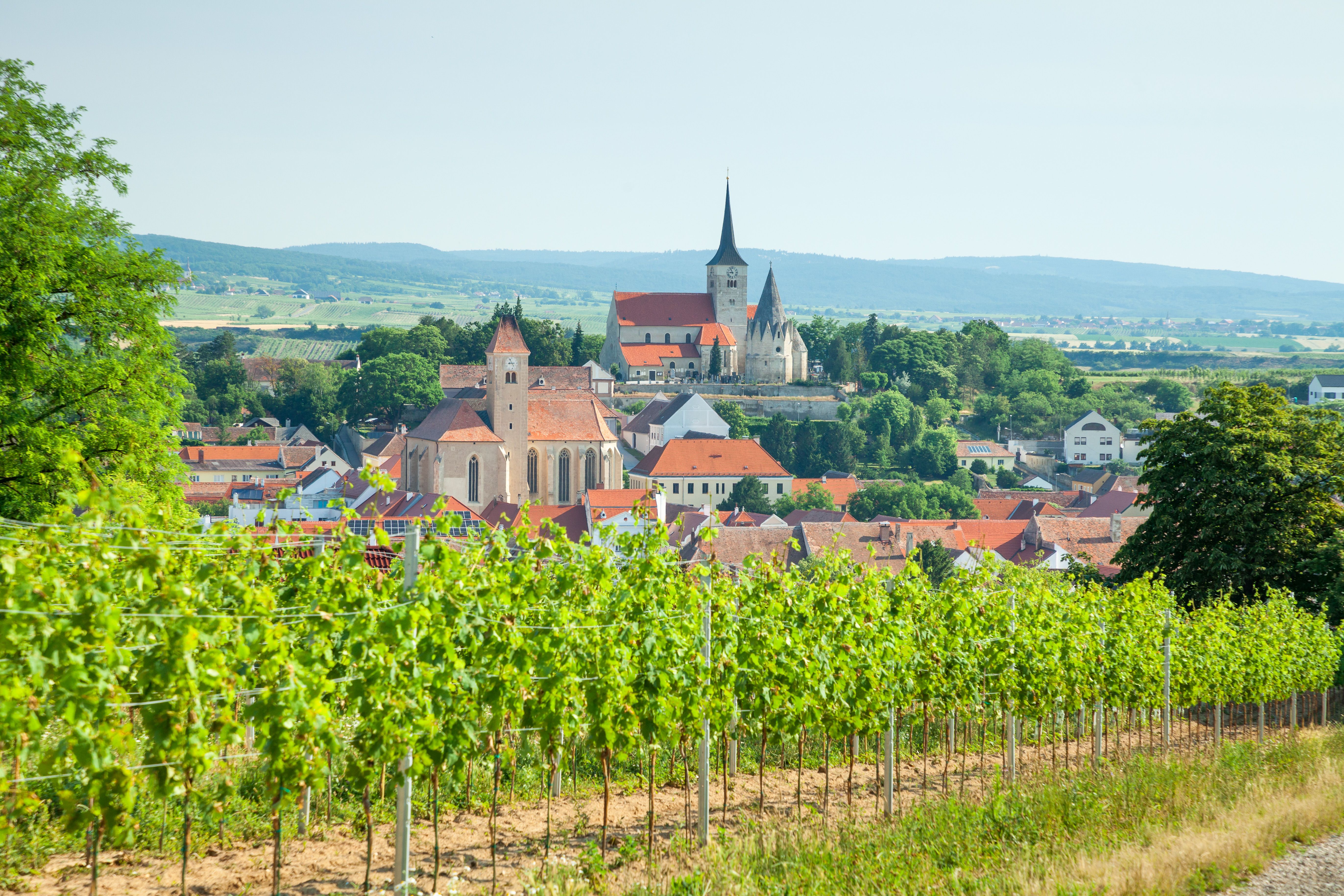 Die Weinstadt Pulkau