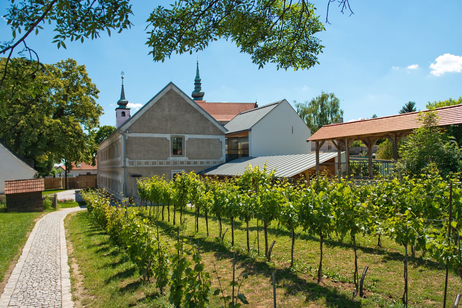 Weinberg und Gebäude in Poysdorf, sonniger Tag.