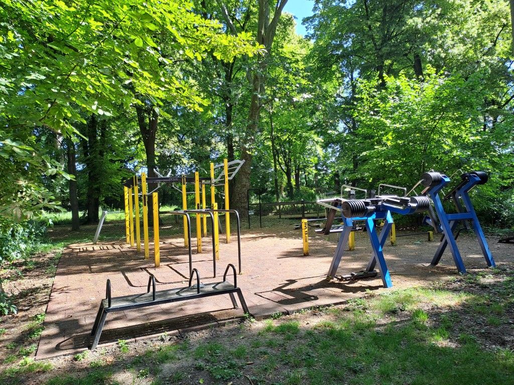 Calisthenics-Park im Freien mit Fitnessgeräten und Bäumen im Hintergrund.