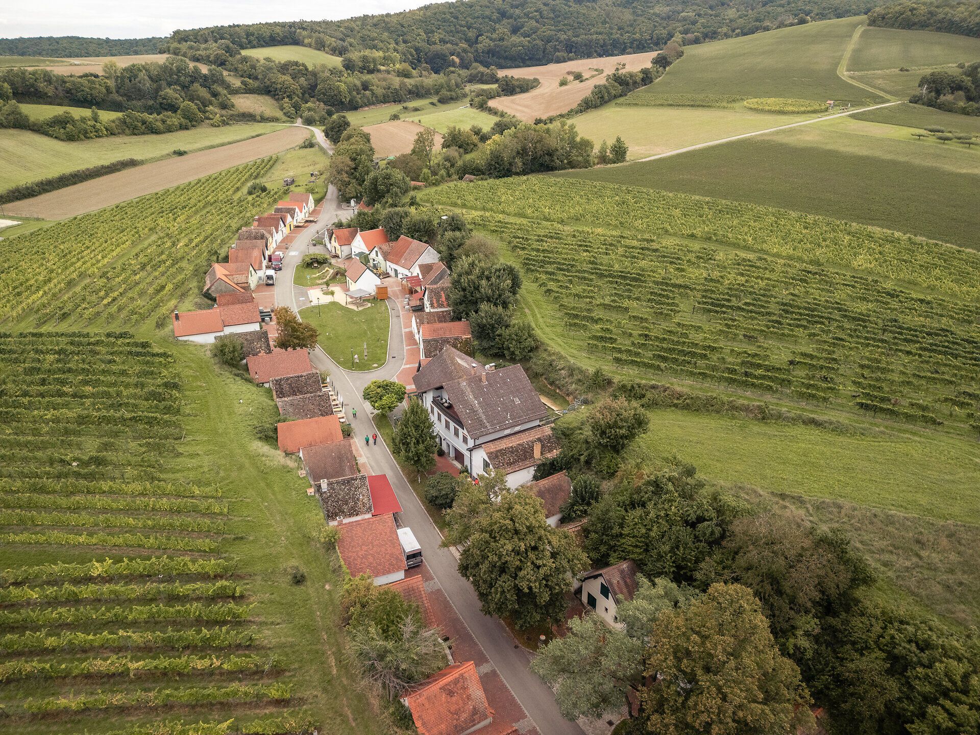 Presshäuser reihen sich zu einer Kellergasse aneinander. Eingebettet ist die Kellergasse in Weingärten, die sich im Hintergrund über die sanften Hügel erstrecken.