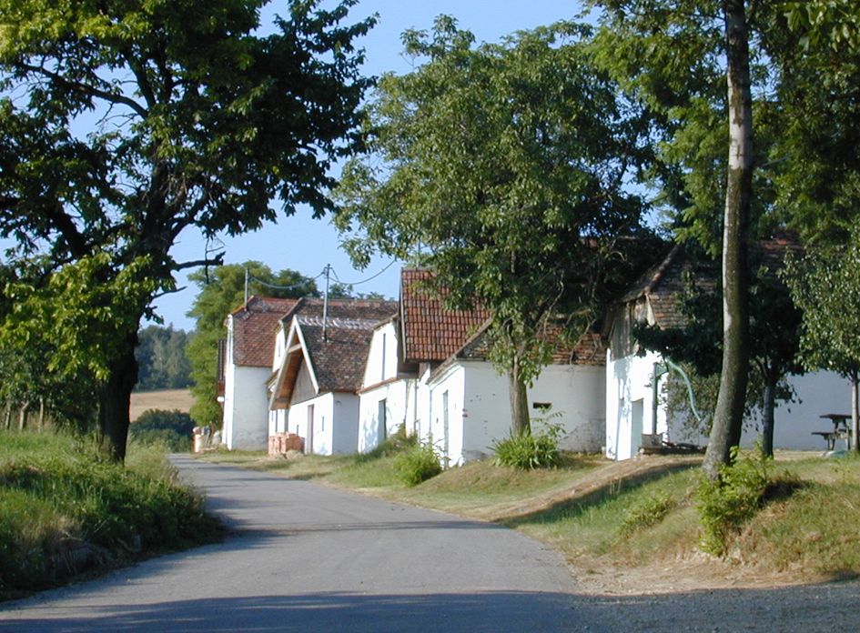 A picturesque wine cellar lane with white houses and red roofs, surrounded by trees and a quiet street.