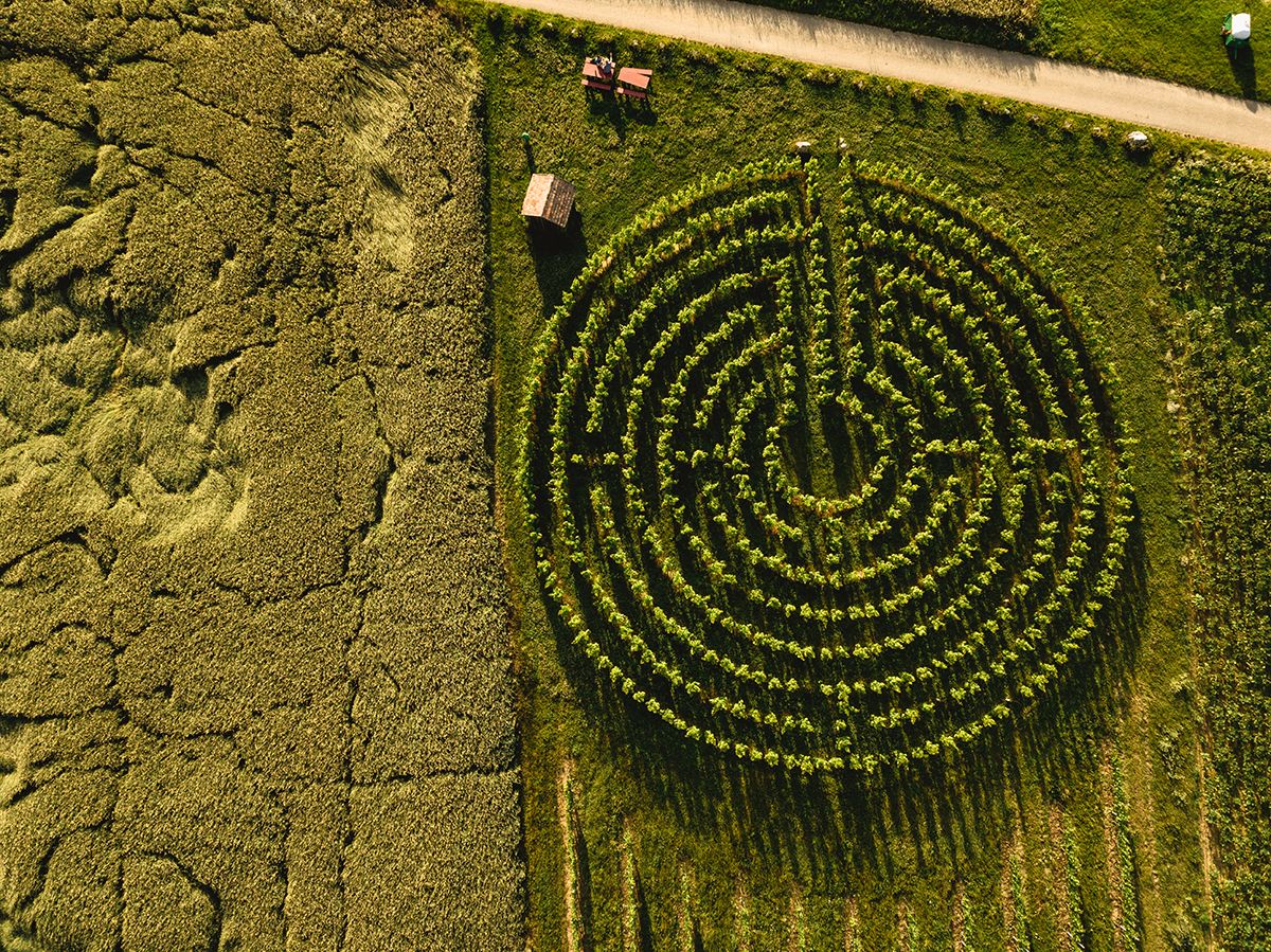 Genussrastplatz beim Weingartenlabyrinth