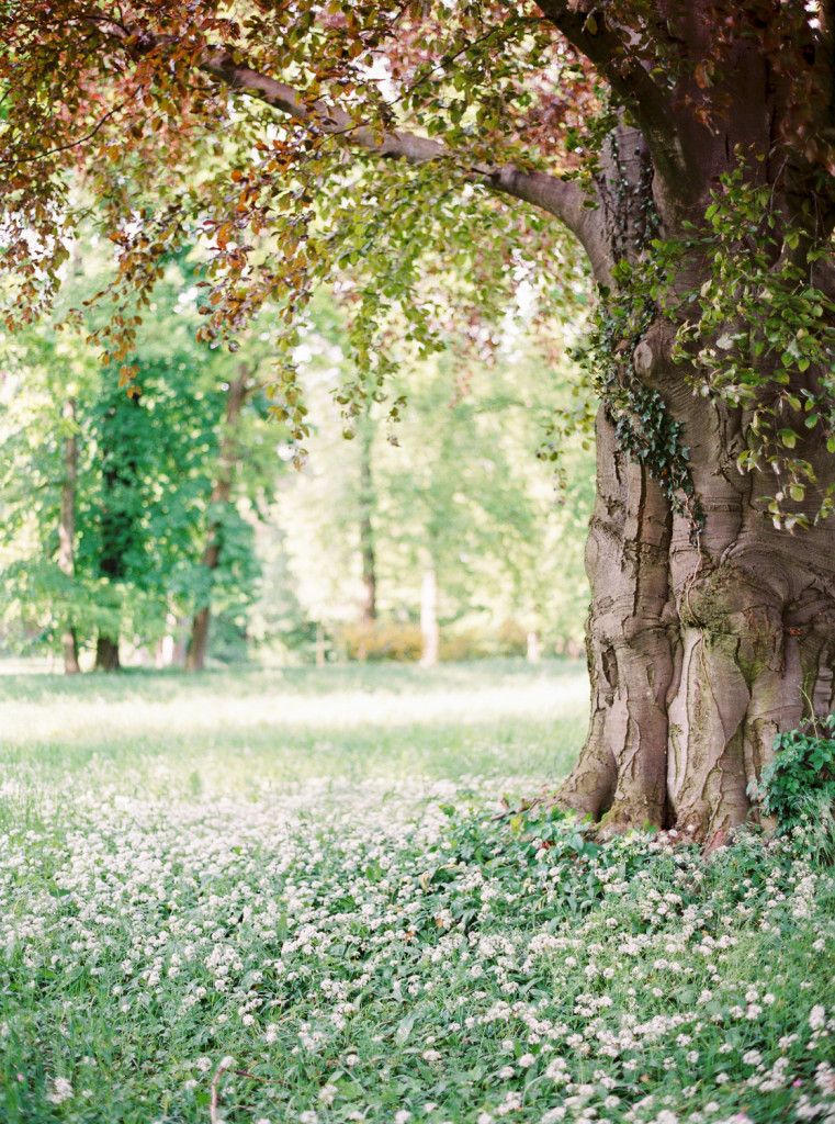 Schlosspark Eckartsau