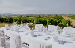 Eine festlich gedeckte Tafel lädt dazu ein, die kulinarischen Köstlichkeiten der Region zu genießen. Umgeben von sanften Weinbergen und der malerischen Landschaft des Weinviertels, entsteht eine harmonische Atmosphäre, die zum Verweilen einlädt.