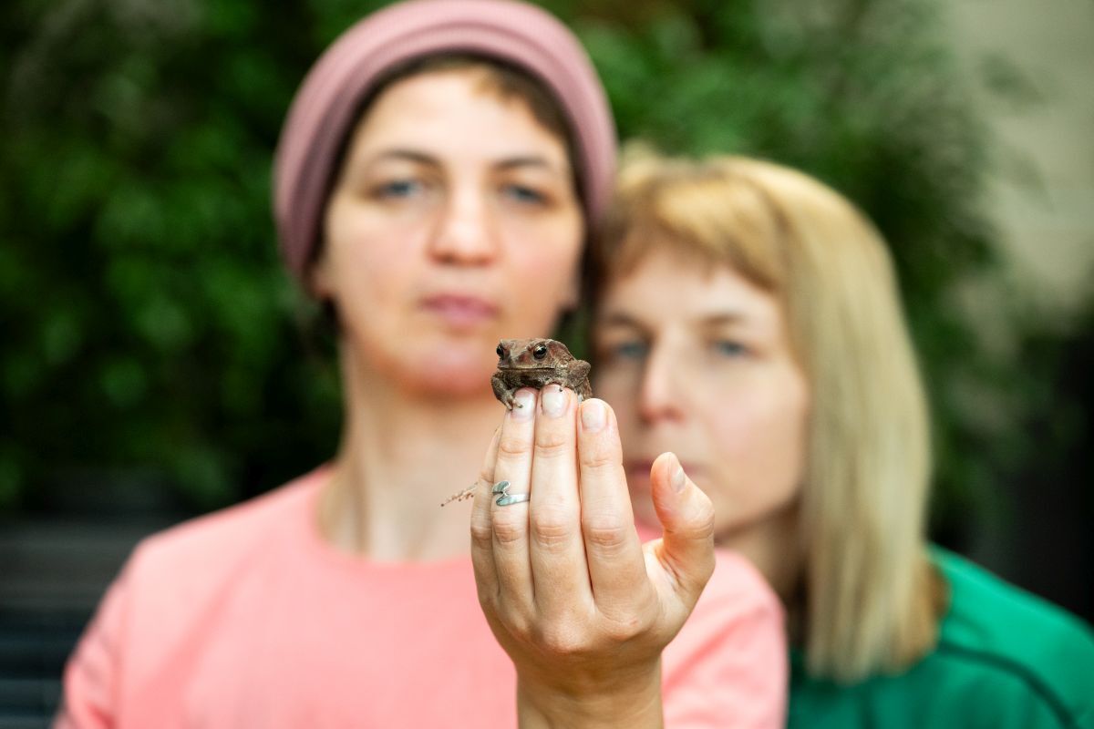 Zwei Frauen, eine hält einen kleinen Frosch auf der ausgestreckten Hand, beide schauen auf den Frosc