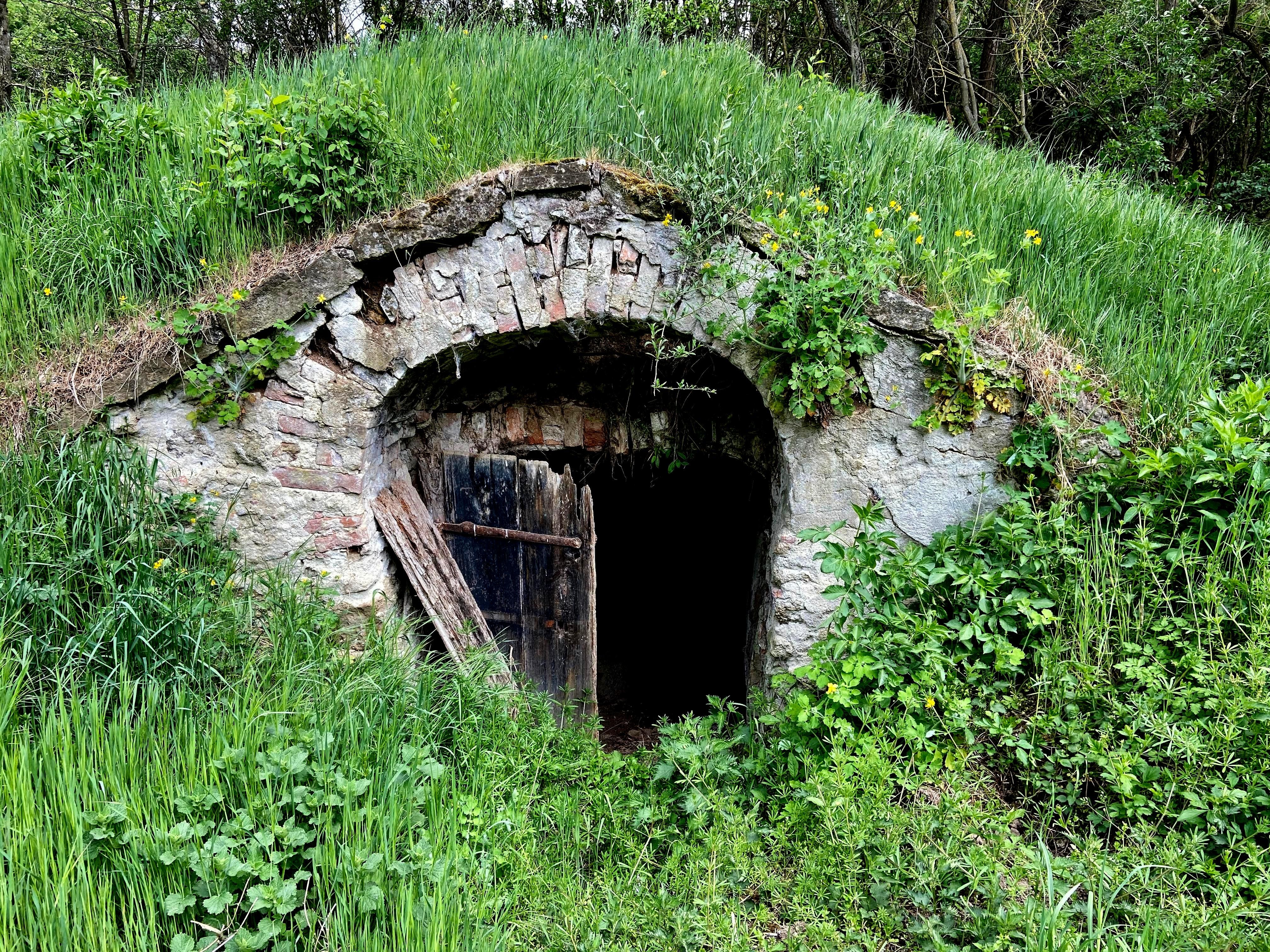 Eingang zu einem alten Weinkeller in einer grünen Landschaft.