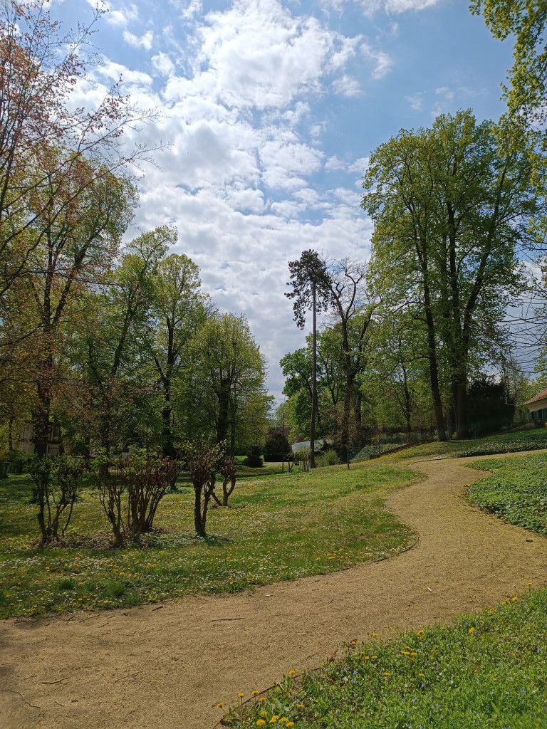 Englischer Garten