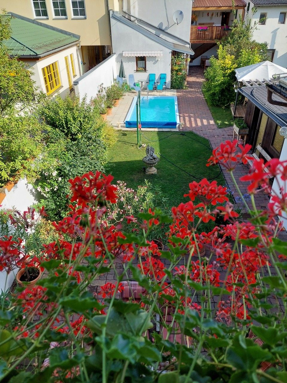 Blick auf einen Garten mit Pool, umgeben von Häusern und roten Blumen im Vordergrund.